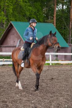 Horse riding lessons for beginners, teenage girl and brown horse on manege, vertical photo