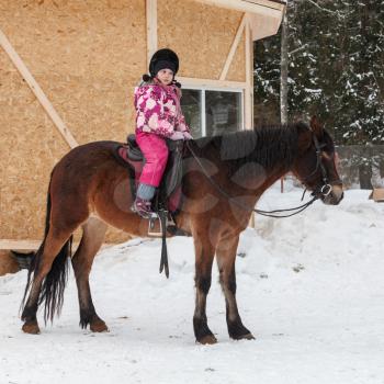 Beginner riding lessons, little girl with brown horse stand on snowy riding field