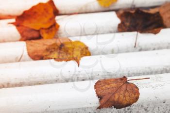 Bright fallen autumn leaves lay on white wooden park bench, background photo