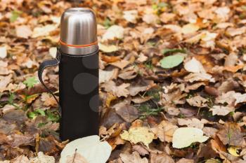 Vacuum thermos made of stainless steel stands on fallen autumn leaves in park