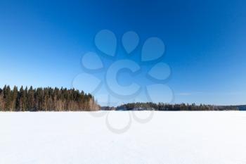 Frozen lake under deep blue sky. Rural winter landscape, Finland