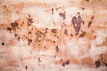 Grunge metal wall with pink peeling paint and rust spots, close-up background photo texture