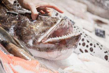 Male hand lifting up angler fish o in a seafood shop, close-up photo with selective focus