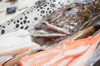 Angler fish and other seafood lay on counter in fish shop, closeup photo with selective focus