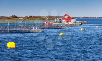 Norwegian fish farm for growing salmon in natural environment. Sea fjord in Trondheim district