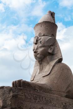 Granite sphinx. Ancient monument on blue cloudy sky background. Landmark of Neva river coast in St.Petersburg, Russia