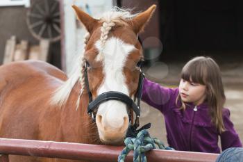 Little Caucasian girl strokes brown horse with braided mane, photo with selective focus 