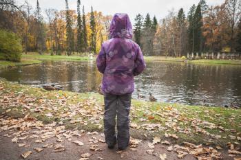 Little girl stands near lake coast in autumn park, rear view