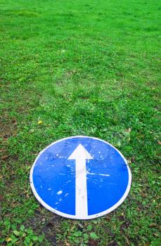 Ahead only, round blue road sign with white directional arrow lays on green grass, vertical photo