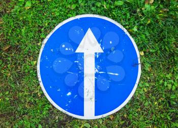Ahead only, round blue road sign with white directional arrow lays on green grass, top view
