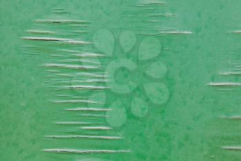 Old veneer, green paint over cracked plywood, background photo texture