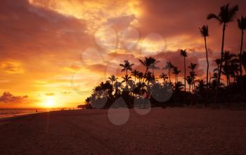 Red tropical sunrise over Atlantic Ocean coast, Bavaro beach, Hispaniola Island. Dominican Republic, coastal landscape