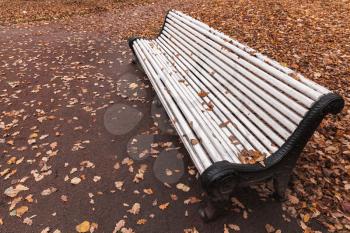 Empty white wooden bench stands in autumn park, closeup photo