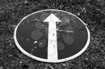 Ahead only, road sign with white arrow lays on grass. Black and white photo