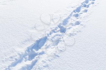 Footprints in snowdrift, natural winter background photo