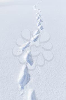 Human footprints in deep snowdrift, vertical natural winter background photo