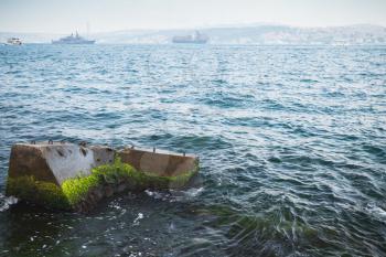 Broken concrete pier with green seaweed, coastal landscape of Bosporus strait