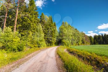 Turning empty rural road goes near green field under blue sky in bright summer day. Empty landscape background photo, Finland