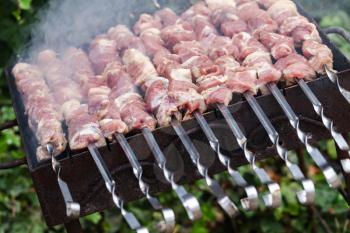 Outdoor cooking of Shashlik, a dish of skewered and grilled cubes of meat