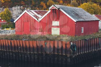 Traditional red wooden barns stand on seacoast in Norway. Rural Norwegian landscape at autumn day
