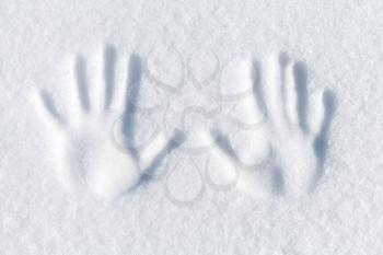 Palm imprint in fresh white snow, top view