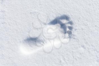 Bare foot imprint in white snow, top view