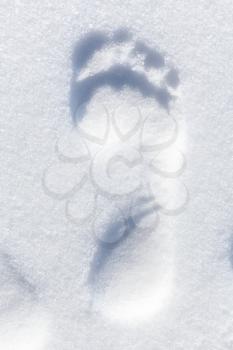 Bare foot imprint in fresh white snow, top view