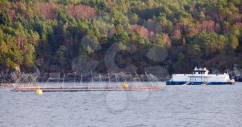 Fish farm for salmon production in natural environment. Norwegian Sea fjord, Trondheim region