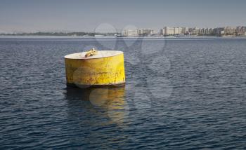 Standard yellow mooring buoy, Gulf of Aqaba, Red Sea