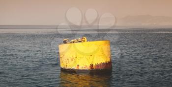 Yellow mooring buoy. Gulf of Aqaba, Red Sea
