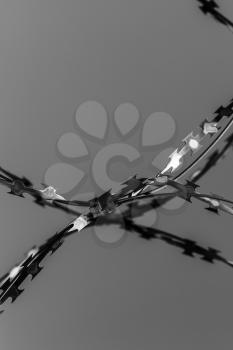 Rough barbed wire fragment, close-up black and white vertical photo with selective focus