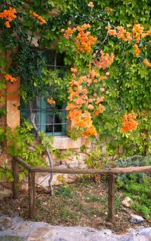 Rural house facade covered with orange flowers