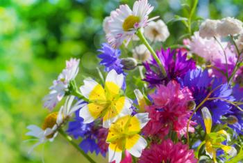 Colorful meadow flowers summer bouquet
