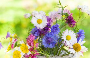 Bright colorful summer flowers bouquet in the sunshine