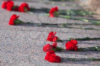 Red carnations lie on granite slab of monument to soldiers