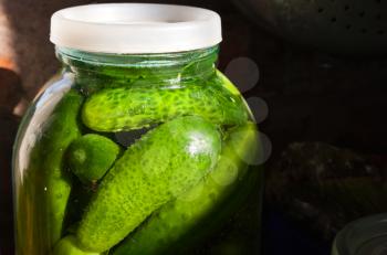 Home cooking object. Glass jar with fresh salted cucumbers