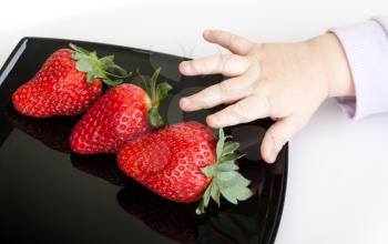 little baby's hand reaches for strawberries