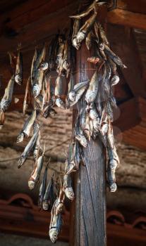 Small salted fish is dried on air