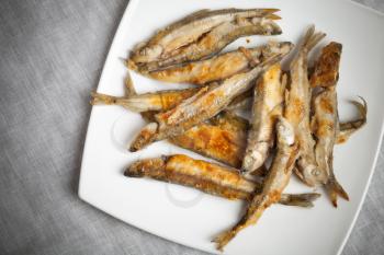 Fried smelts fish lays on a white plate over gray tablecloth