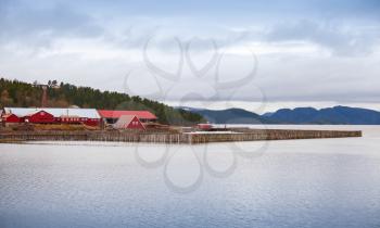 Traditional Norwegian fish farm with red wooden houses on the seacoast