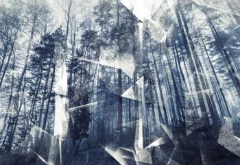 Abstract surreal forest background. Blue toned photo collage with chaotic 3d structure 