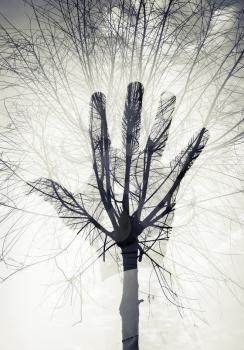Double exposure abstract ecological conceptual photo collage, male hand silhouette over sky and leafless tree pattern 