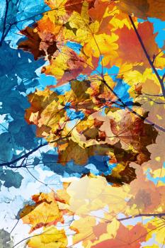 Colorful autumn maple leaves, multi exposure background photo