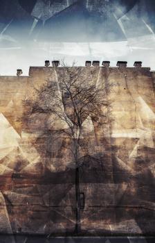 Old leafless tree on old yellow wall background, city life metaphor. Retro toned photo collage with chaotic 3d structure 