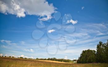 Russian rural landscape with yellow green dry field under beautiful bright cloudy sky