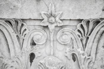 Floral ancient stone carving ornament, white portico fragment. Smyrna, Izmir, Turkey