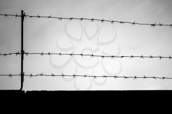 Black barbed wire silhouette on dark gray sky background