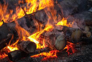 Burning firewood on fireplace, campfire photo