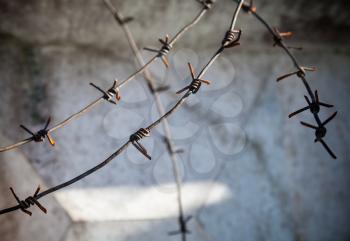 Barbed wire fragment above dark concrete wall