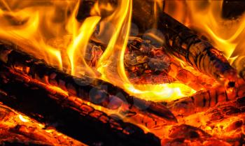 Bright burning wood, campfire macro photo